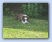 juli 2004